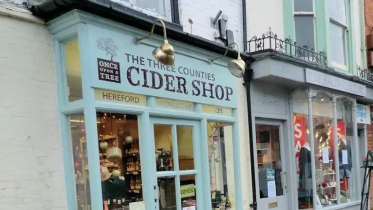 Cider Return Policy: Here’s How It Works In 2024
